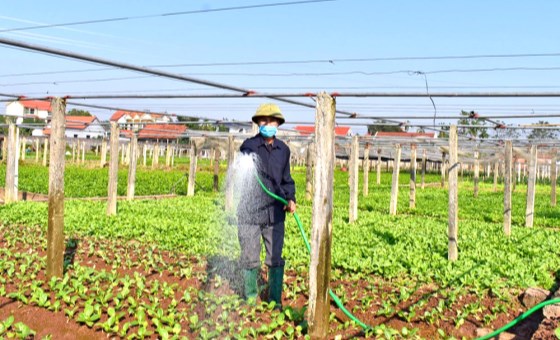 Phát huy vai trò nông dân trong phát triển kinh tế tập thể