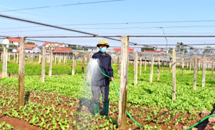 Phát huy vai trò nông dân trong phát triển kinh tế tập thể
