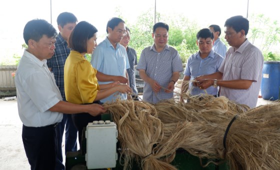 Kiểm tra tiến độ xây dựng huyện Tam Nông đạt chuẩn nông thôn mới
