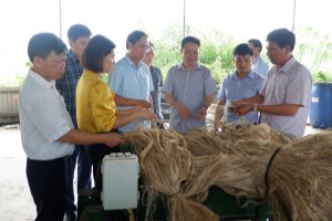 Kiểm tra tiến độ xây dựng huyện Tam Nông đạt chuẩn nông thôn mới