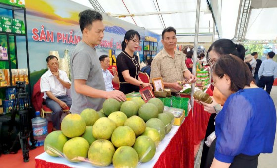 Nâng cao giá trị nông sản qua xúc tiến thương mại