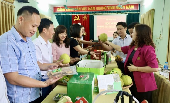 Yên Lập phát triển sản phẩm OCOP