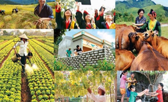 Hợp nhất 3 chương trình mục tiêu quốc gia là cần thiết