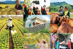 Hợp nhất 3 chương trình mục tiêu quốc gia là cần thiết