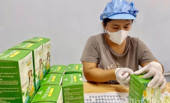 Phát triển kinh tế tập thể, tạo sinh kế bền vững