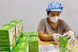 Phát triển kinh tế tập thể, tạo sinh kế bền vững