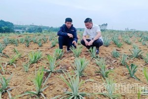 Trạm Thản phát triển nông, lâm nghiệp, thủy sản bền vững