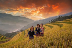 Hợp nhất 3 Chương trình MTQG để ưu tiên nguồn lực cho vùng đồng bào dân tộc thiểu số