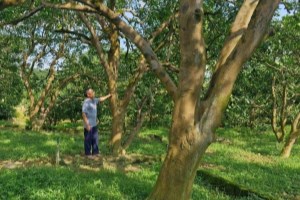 Chuyển đổi số góp phần xây dựng nông thôn mới