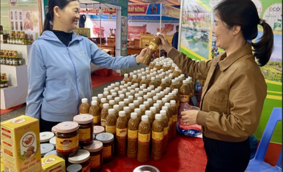 Phát triển bền vững sản phẩm OCOP