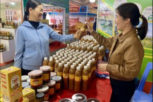 Phát triển bền vững sản phẩm OCOP