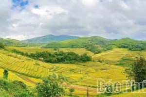 Thượng Cốc hiện thực hóa mục tiêu xây dựng xã đạt chuẩn Nông thôn mới
